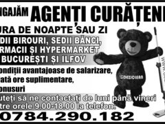 Agenti de curatenie, tura de noapte sau zi